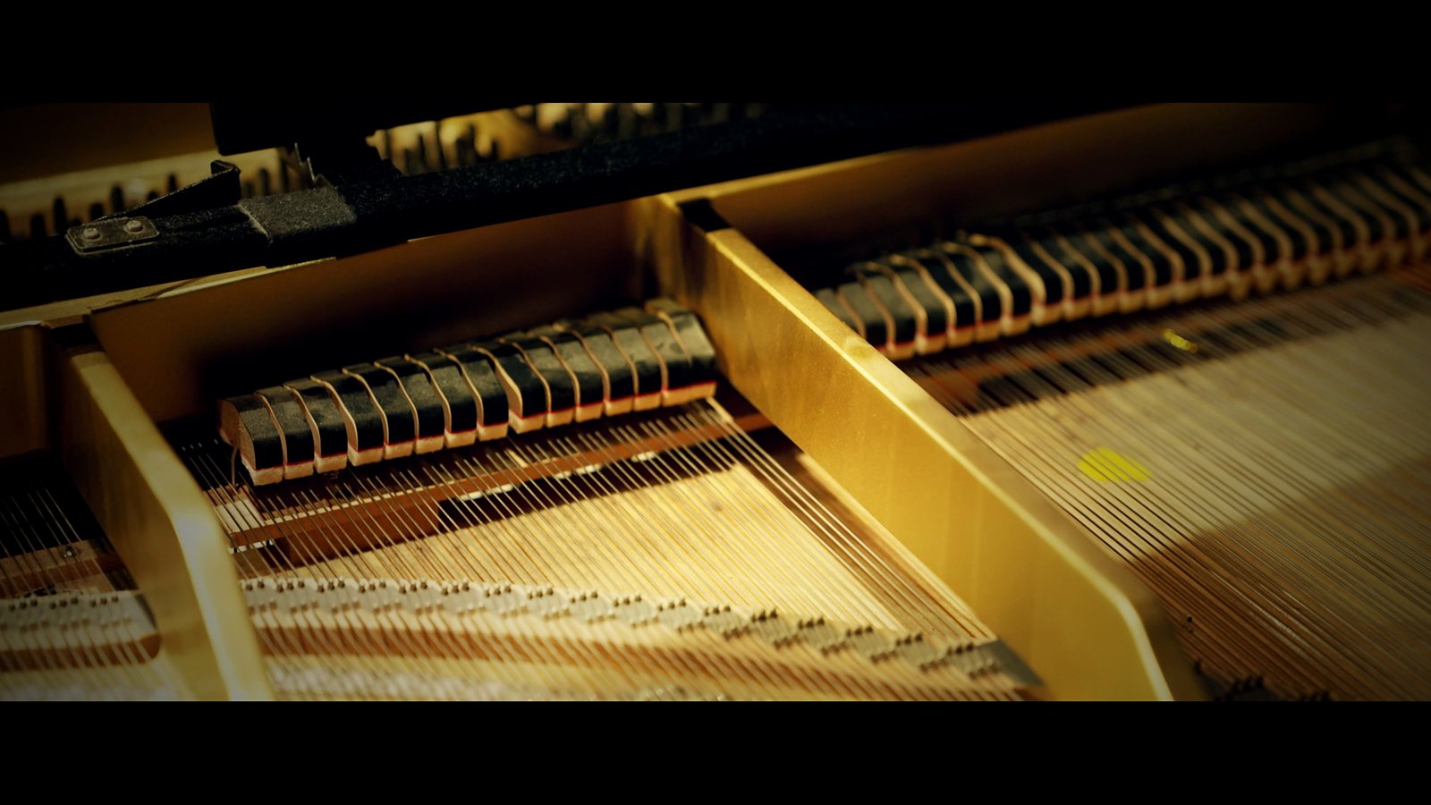 Emily · Piano Recital still 1